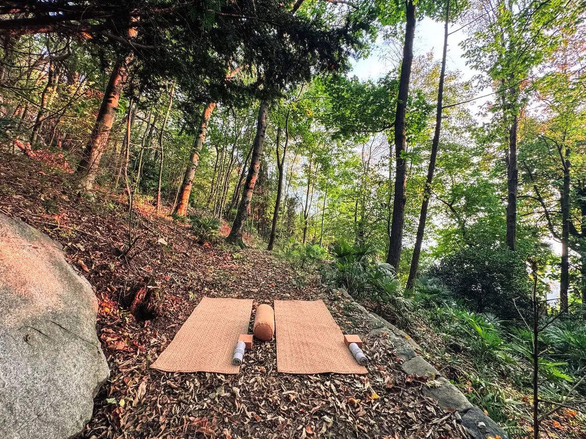 Forest yoga deck reached by the Gordemo hillside path