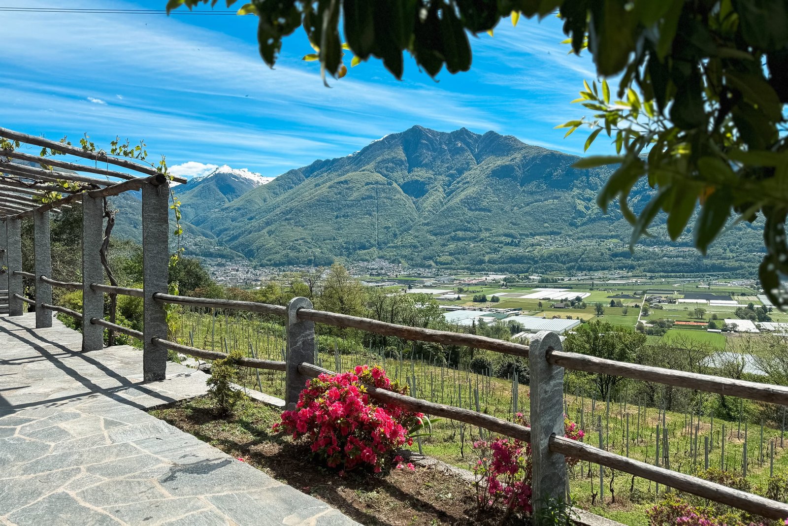 The Vineyard Rustico · Sementina